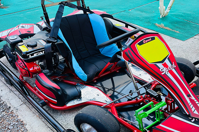 ワイルドカート